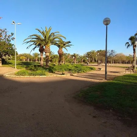 One Bedroom At 300 M Away From The With Shared Pool Furnished Balcony And Wifi *